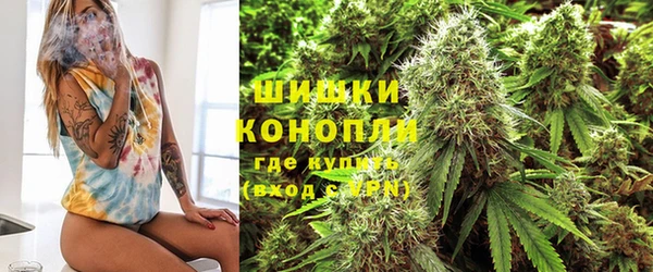 ГАЛЛЮЦИНОГЕННЫЕ ГРИБЫ Киренск